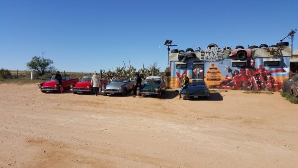 13Tigers at Silverton