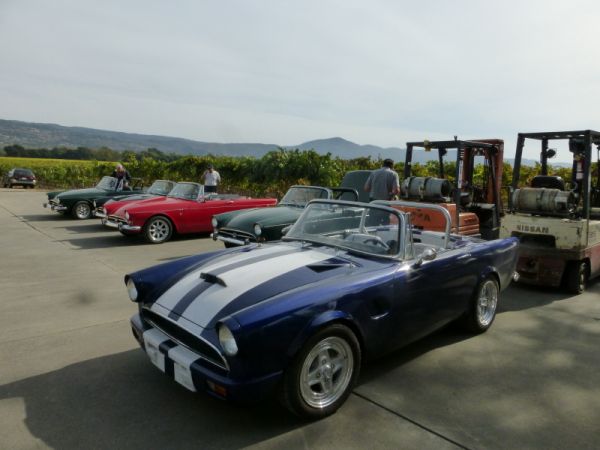 Tigers parked in back of Andretti Winery by the vineyard.