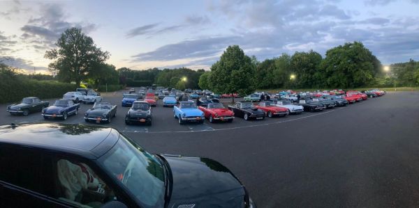 tigergathering